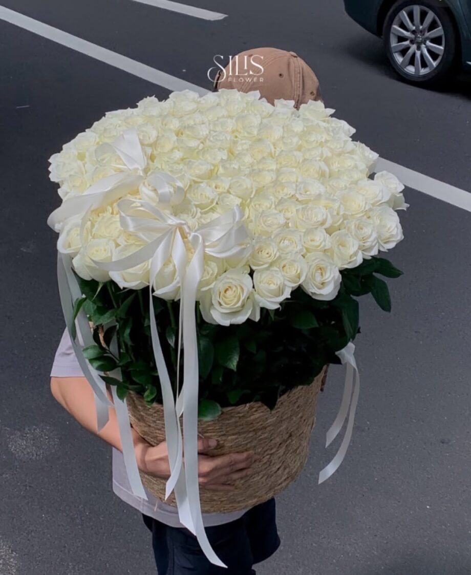 hoa hồng trắng c&oacute; &yacute; nghĩa g&igrave;